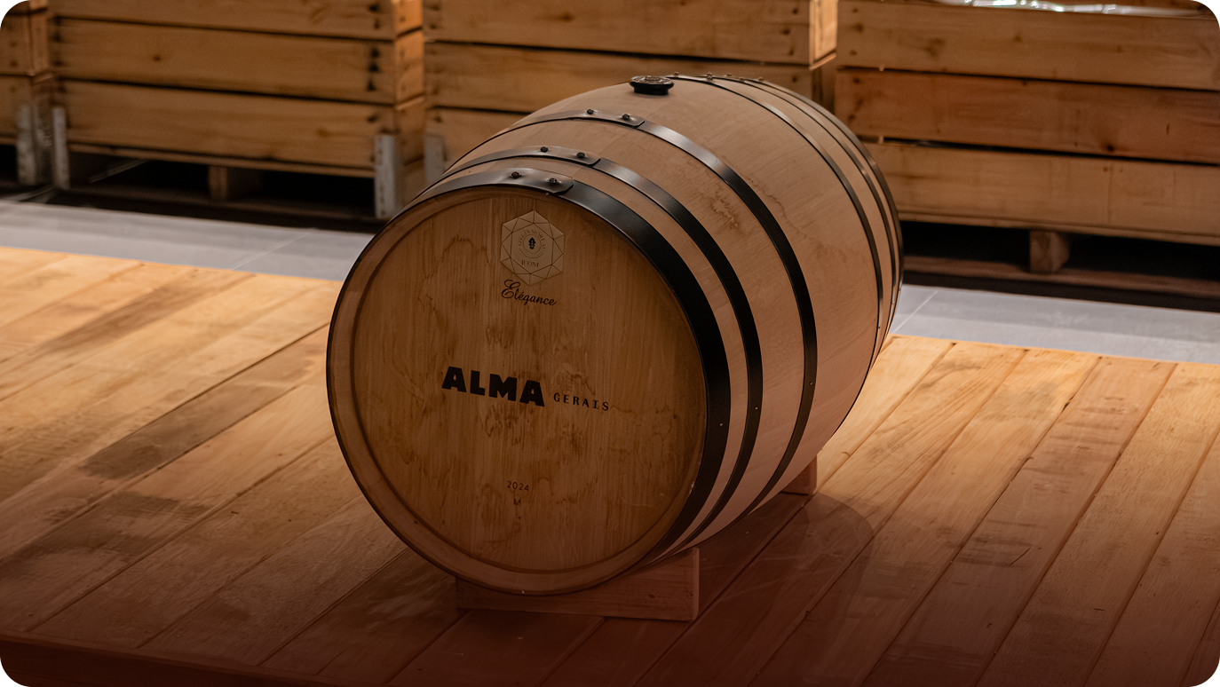 alma-origem-1